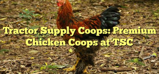 Tractor Supply Coops: Premium Chicken Coops at TSC 